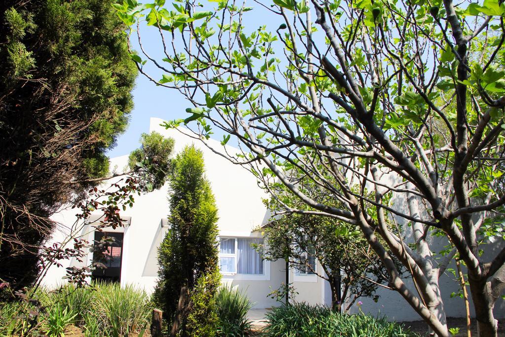 La Coscello Guest House Edenvale Bagian luar foto