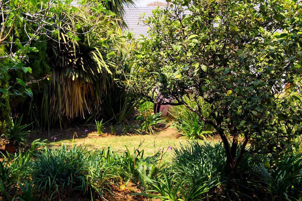 La Coscello Guest House Edenvale Bagian luar foto